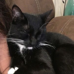 Meet your Posher, Maricel